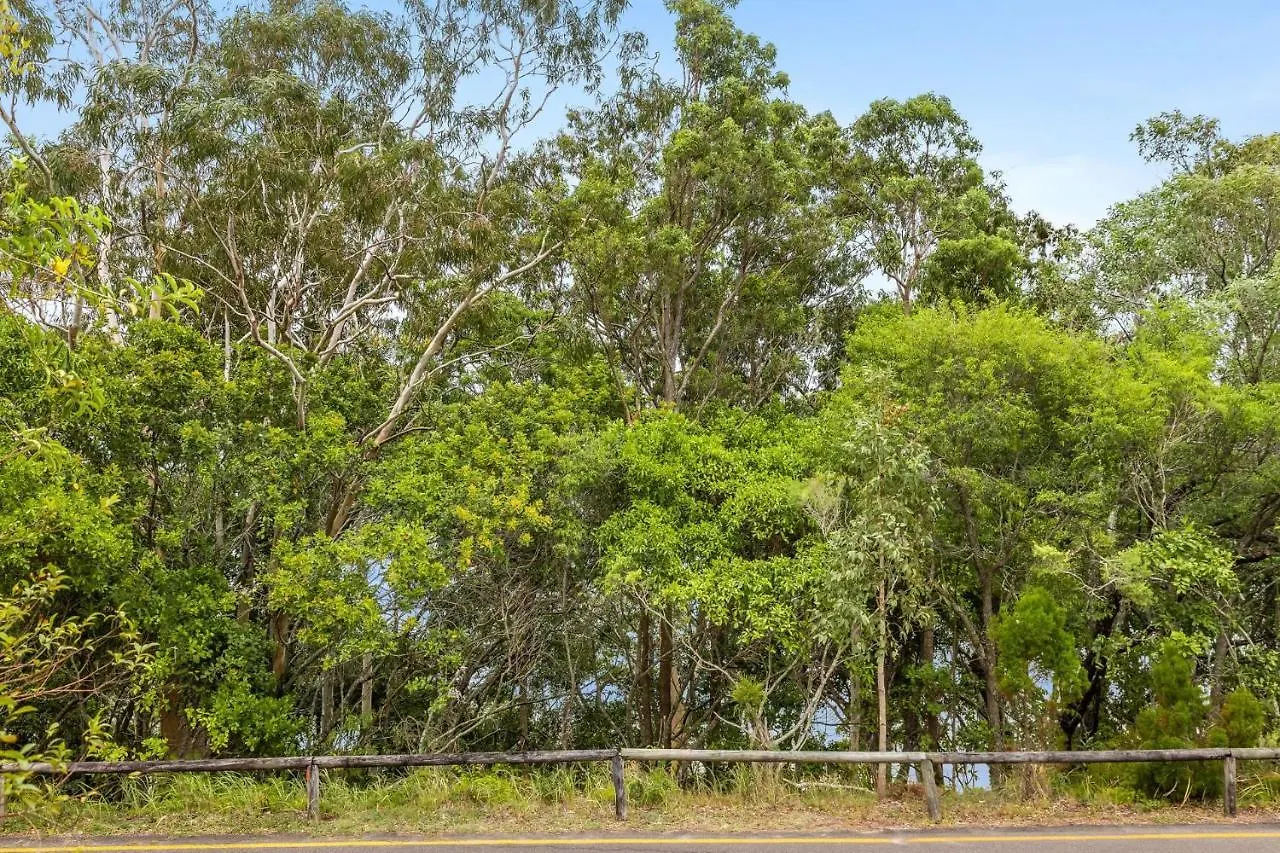 1 36 Alderly Tce Little Cove Apartment Noosa Heads